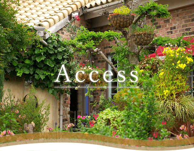 Access